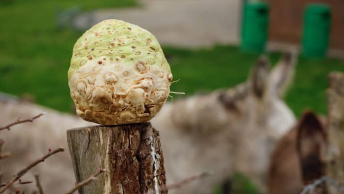 La p’tite astuce salée 🧂